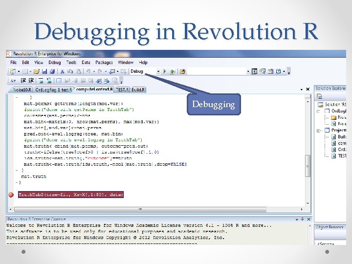 Debugging in Revolution R Debugging 