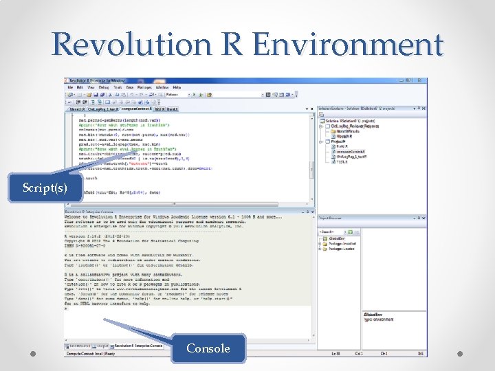 Revolution R Environment Script(s) Console 