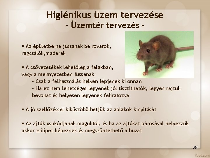 Higiénikus üzem tervezése - Üzemtér tervezés § Az épületbe ne jussanak be rovarok, rágcsálók,