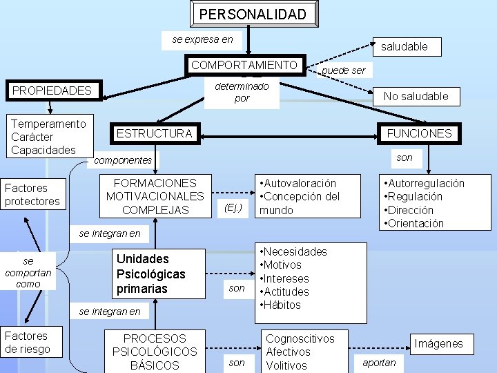 PERSONALIDAD se expresa en saludable COMPORTAMIENTO determinado por PROPIEDADES Temperamento Carácter Capacidades Factores protectores