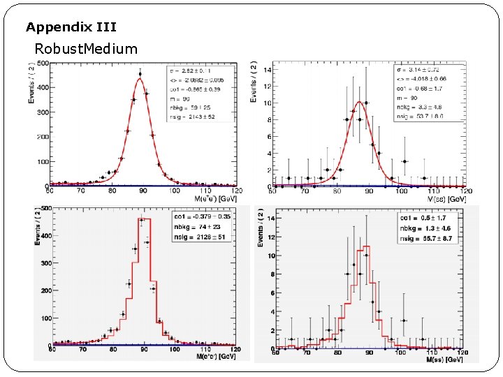 Appendix III Robust. Medium 