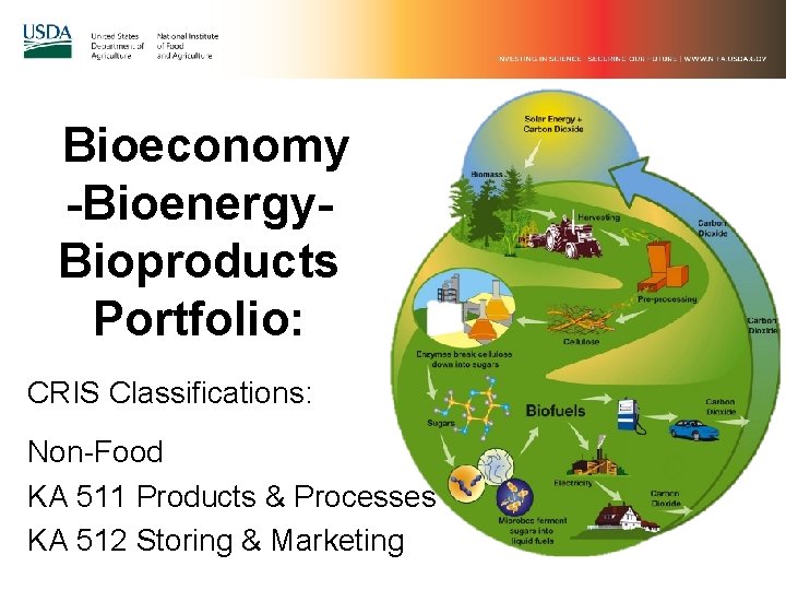  Bioeconomy -Bioenergy. Bioproducts Portfolio: CRIS Classifications: Non-Food KA 511 Products & Processes KA