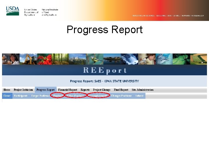 Progress Report 