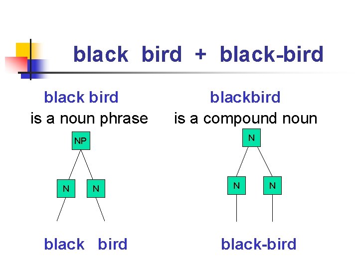 black bird + black-bird black bird is a noun phrase blackbird is a compound