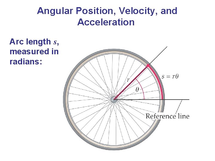 Angular Position, Velocity, and Acceleration Arc length s, measured in radians: 