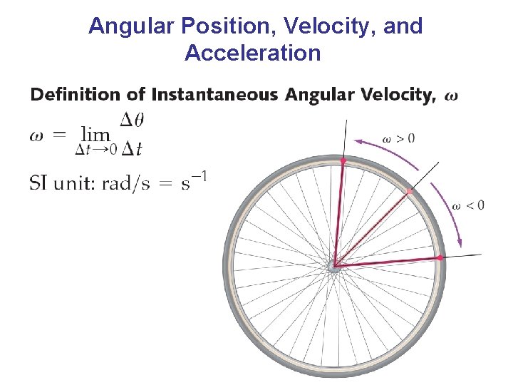 Angular Position, Velocity, and Acceleration 