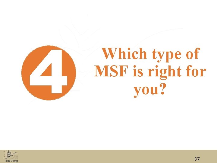 4 Which type of MSF is right for you? 37 4 Which type of MSF is right for you? 37