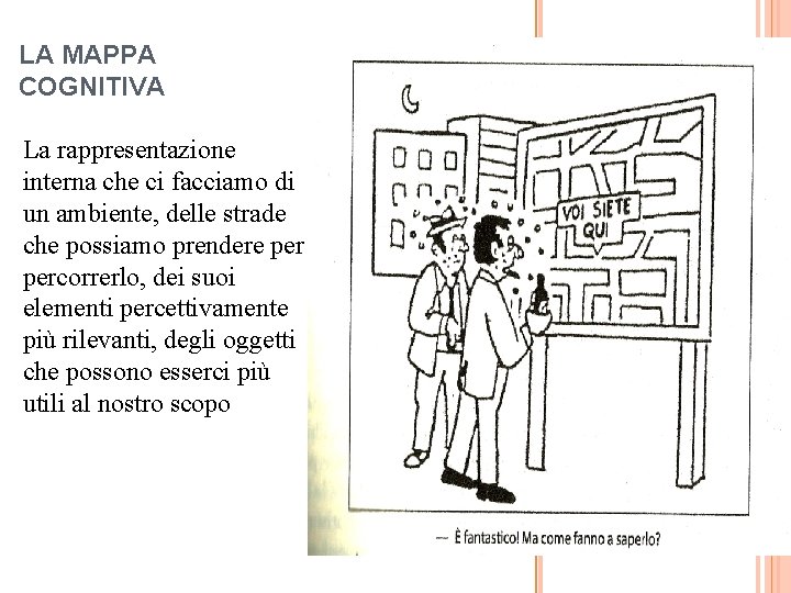 LA MAPPA COGNITIVA La rappresentazione interna che ci facciamo di un ambiente, delle strade