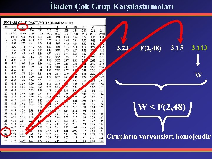 İkiden Çok Grup Karşılaştırmaları 3. 23 F(2, 48) 3. 15 3. 113 W W