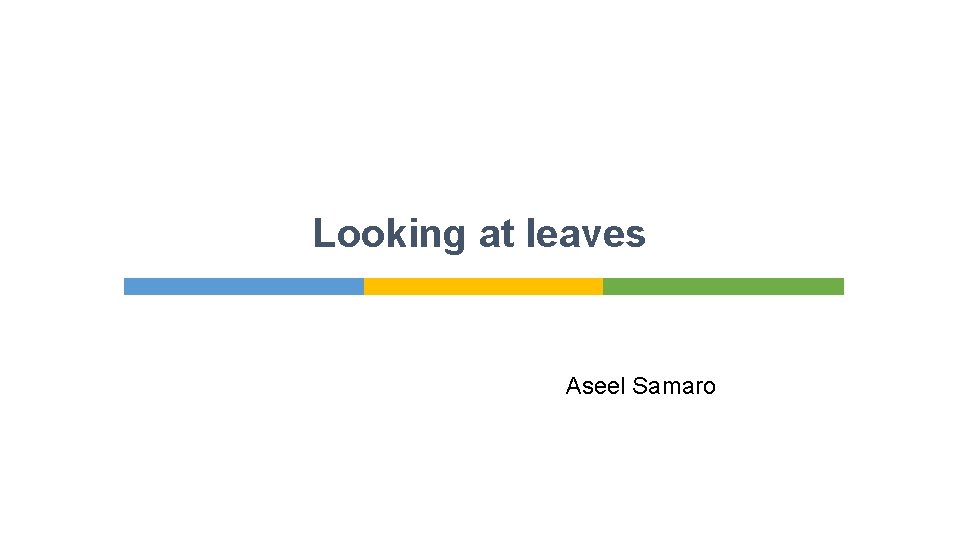 Looking at leaves Aseel Samaro 