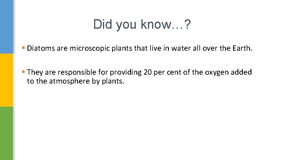 Did you know…? § Diatoms are microscopic plants that live in water all over