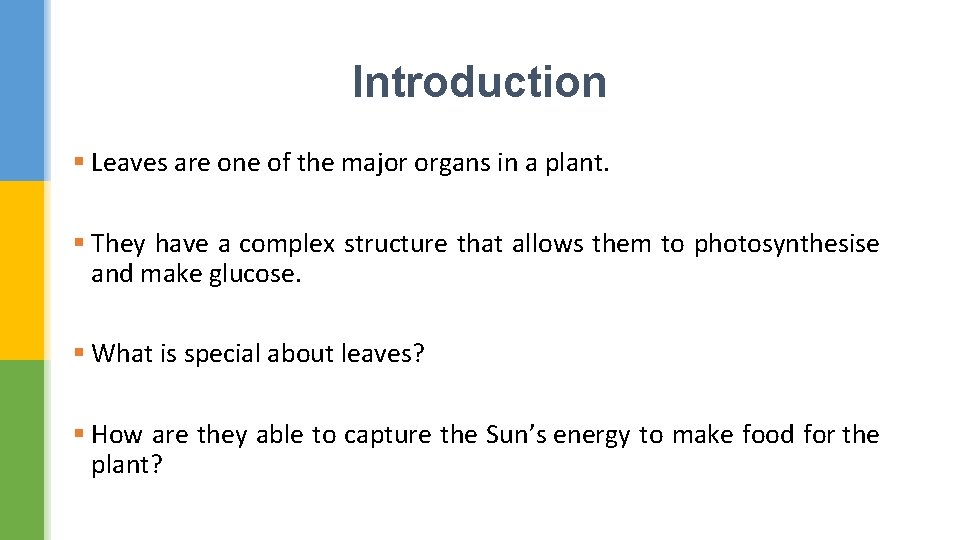 Introduction § Leaves are one of the major organs in a plant. § They