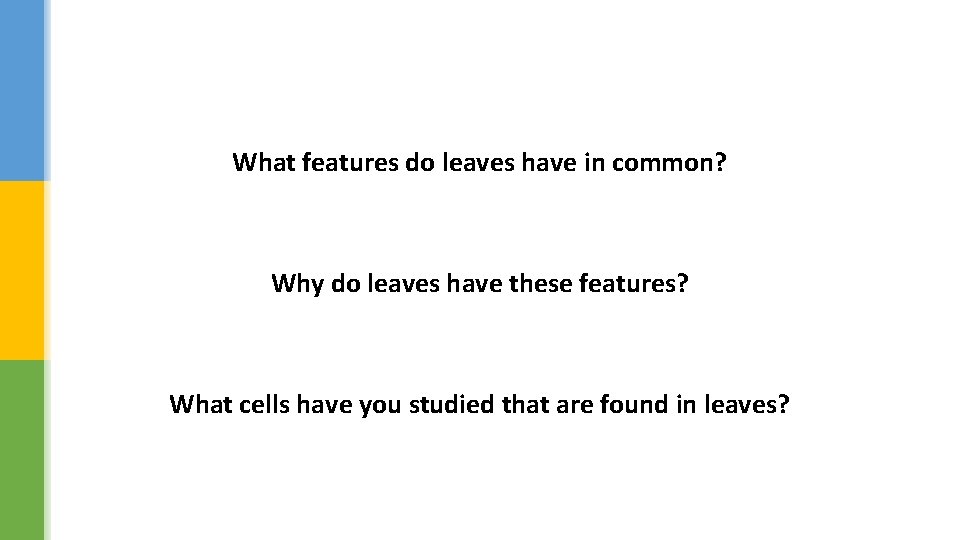 What features do leaves have in common? Why do leaves have these features? What