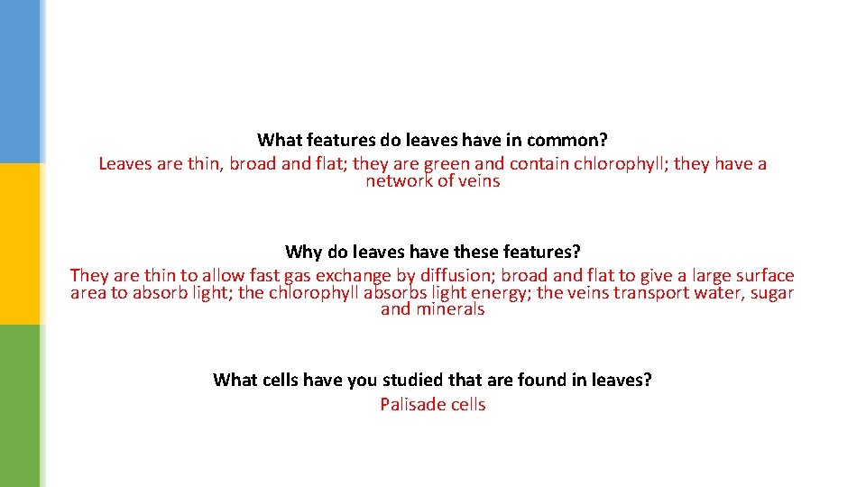 What features do leaves have in common? Leaves are thin, broad and flat; they