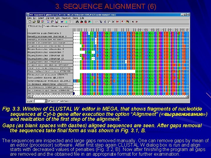 3. SEQUENCE ALIGNMENT (6) Fig. 3. 3. Window of CLUSTAL W editor in MEGA,