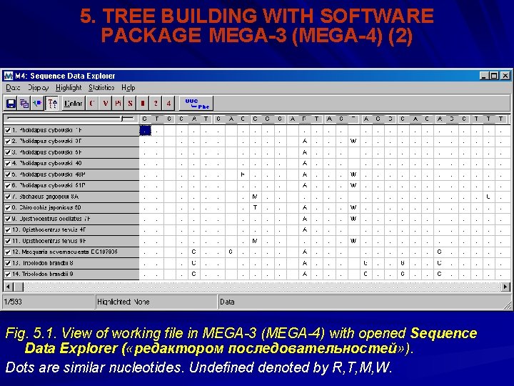 5. TREE BUILDING WITH SOFTWARE PACKAGE MEGA-3 (MEGA-4) (2) Fig. 5. 1. View of