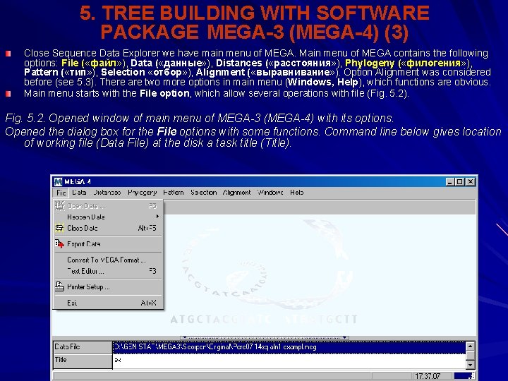 5. TREE BUILDING WITH SOFTWARE PACKAGE MEGA-3 (MEGA-4) (3) Close Sequence Data Explorer we