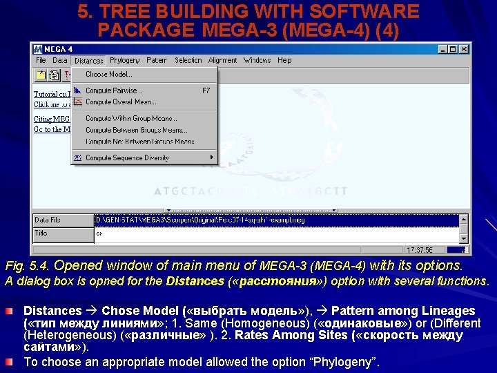 5. TREE BUILDING WITH SOFTWARE PACKAGE MEGA-3 (MEGA-4) (4) Fig. 5. 4. Opened window