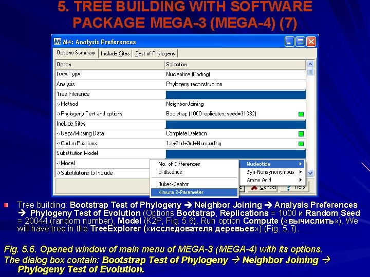 5. TREE BUILDING WITH SOFTWARE PACKAGE MEGA-3 (MEGA-4) (7) Tree building: Bootstrap Test of