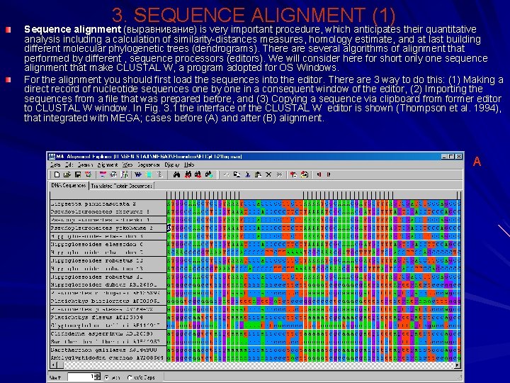 3. SEQUENCE ALIGNMENT (1) Sequence alignment (выравнивание) is very important procedure, which anticipates their