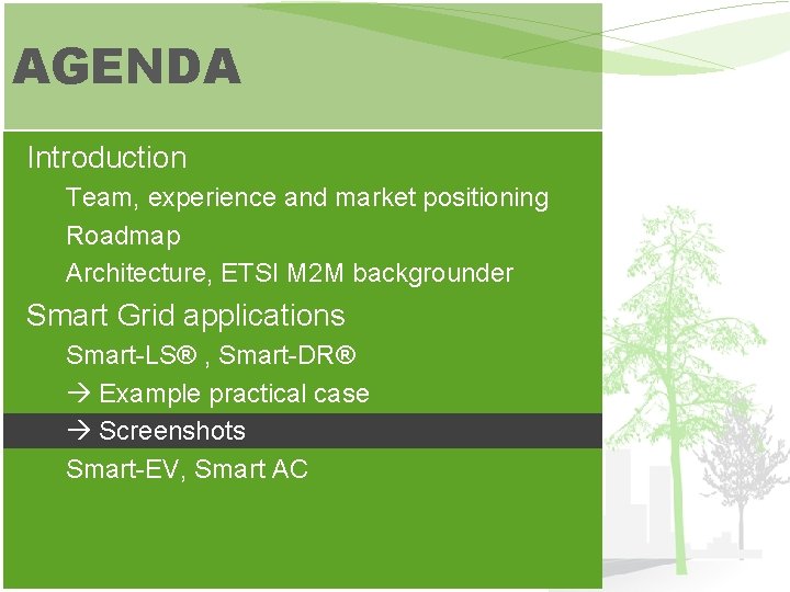 AGENDA Introduction Team, experience and market positioning Roadmap Architecture, ETSI M 2 M backgrounder