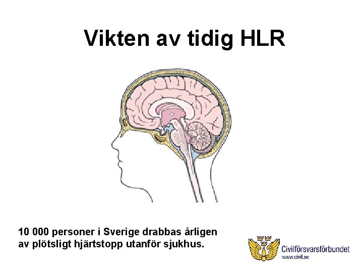 Vikten av tidig HLR 10 000 personer i Sverige drabbas årligen av plötsligt hjärtstopp