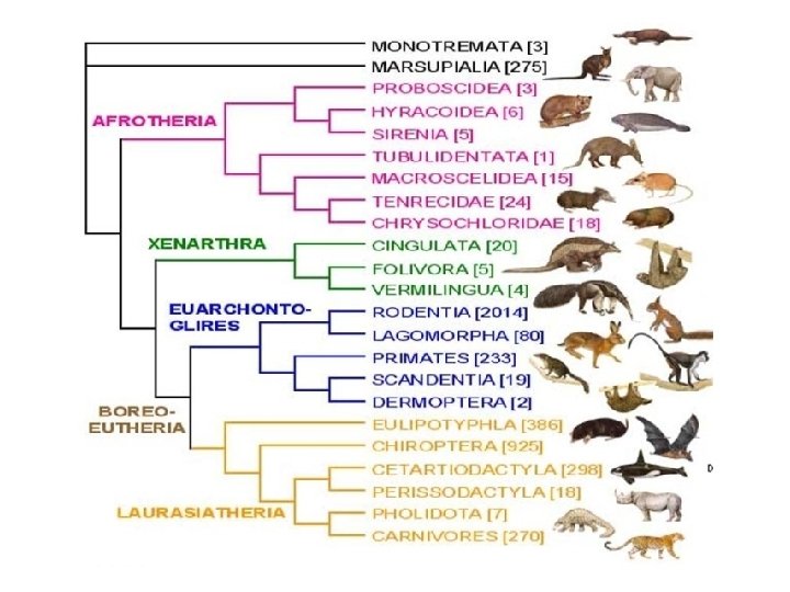 Modularizace Vuky Evolun A Ekologick Biologie Cz 1