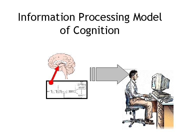 Information Processing Model of Cognition 