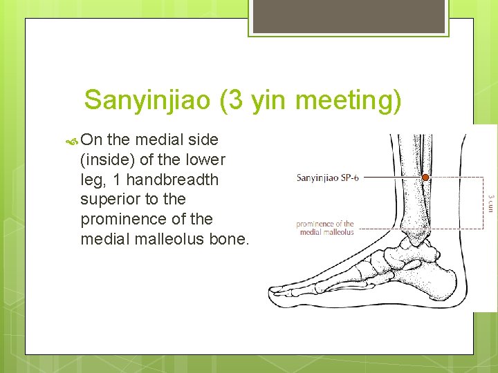 Sanyinjiao (3 yin meeting) On the medial side (inside) of the lower leg, 1