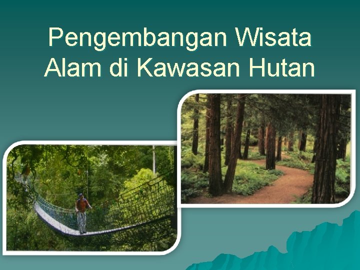 Pengembangan Wisata Alam di Kawasan Hutan 