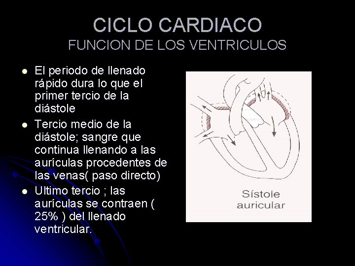 CICLO CARDIACO FUNCION DE LOS VENTRICULOS l l l El periodo de llenado rápido