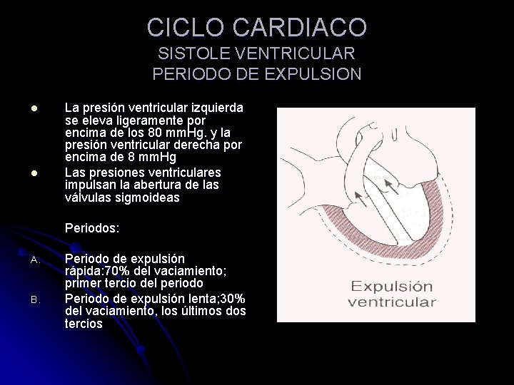 CICLO CARDIACO SISTOLE VENTRICULAR PERIODO DE EXPULSION l l La presión ventricular izquierda se