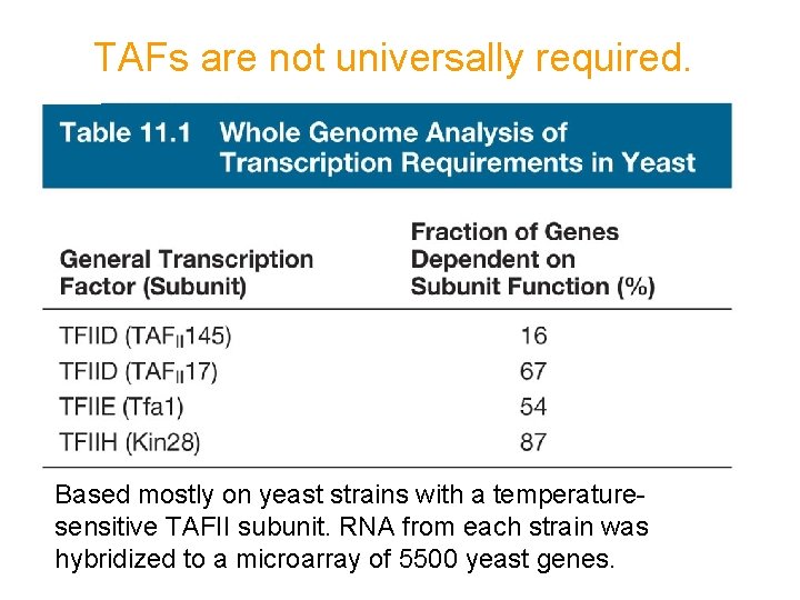 TAFs are not universally required. Based mostly on yeast strains with a temperaturesensitive TAFII TAFs are not universally required. Based mostly on yeast strains with a temperaturesensitive TAFII