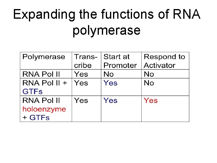 Expanding the functions of RNA polymerase Expanding the functions of RNA polymerase