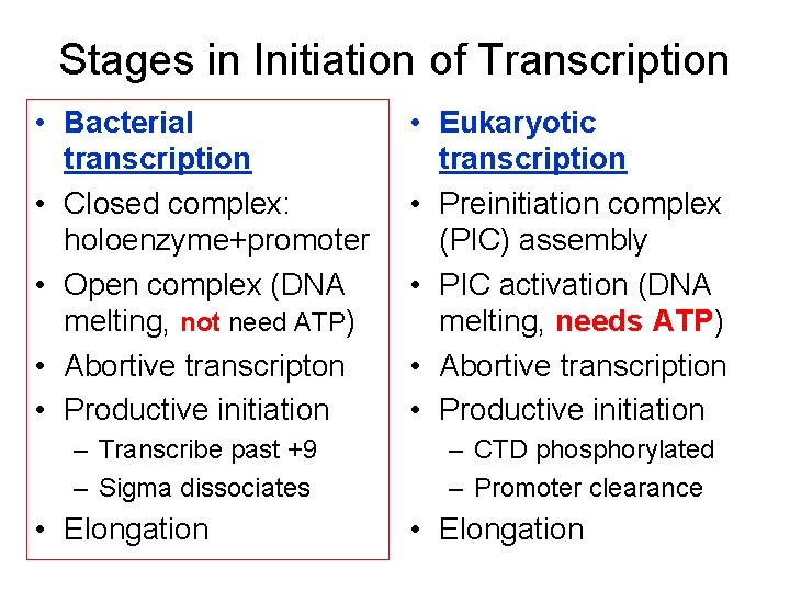 Stages in Initiation of Transcription • Bacterial transcription • Closed complex: holoenzyme+promoter • Open Stages in Initiation of Transcription • Bacterial transcription • Closed complex: holoenzyme+promoter • Open