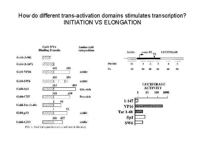 How do different trans-activation domains stimulates transcription? INITIATION VS ELONGATION How do different trans-activation domains stimulates transcription? INITIATION VS ELONGATION