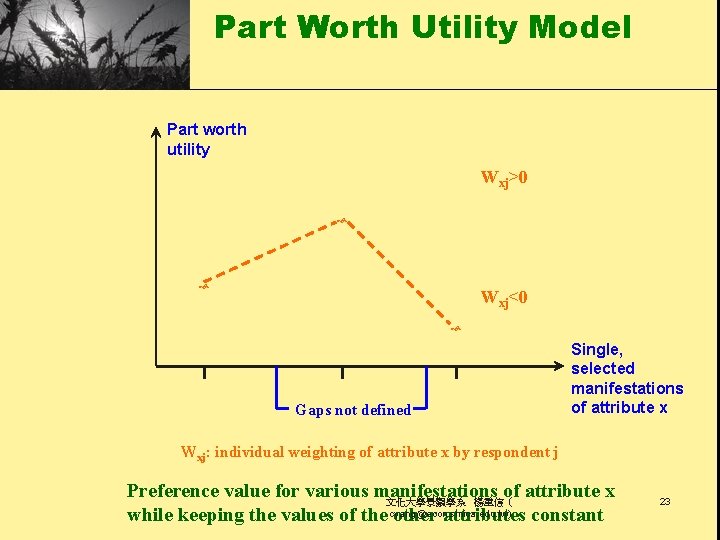 Part Worth Utility Model Part worth utility Wxj>0 Wxj<0 Gaps not defined Single, selected