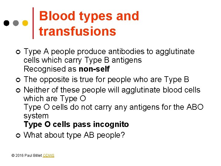 Blood types and transfusions ¢ ¢ Type A people produce antibodies to agglutinate cells