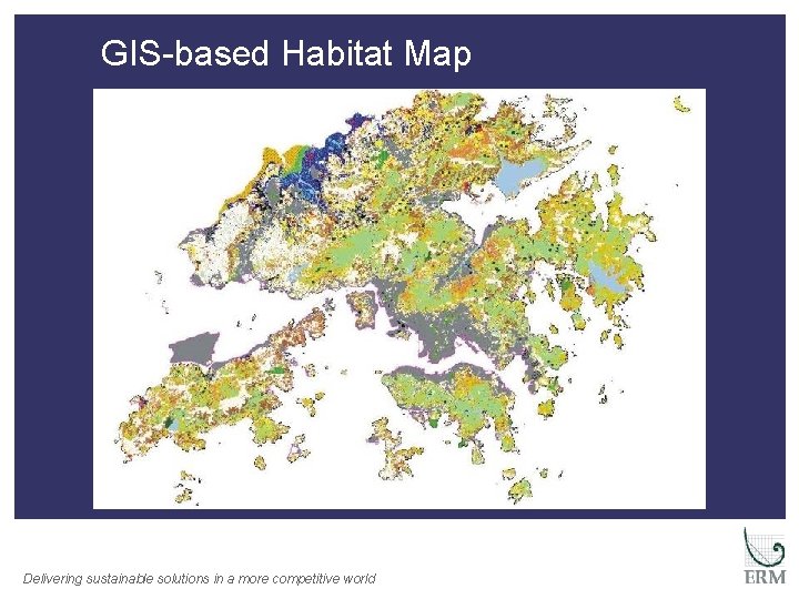 GIS-based Habitat Map Delivering sustainable solutions in a more competitive world 