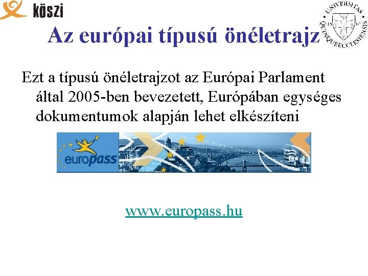 Az európai típusú önéletrajz Ezt a típusú önéletrajzot az Európai Parlament által 2005 -ben