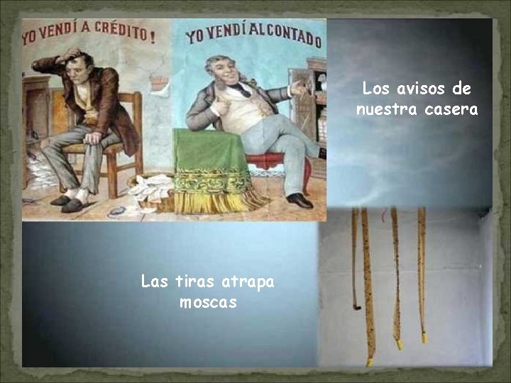Los avisos de nuestra casera Las tiras atrapa moscas 