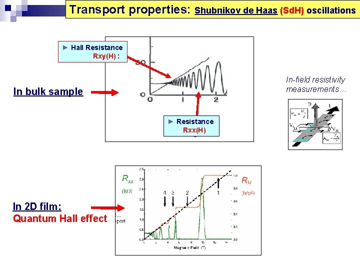 Transport properties: Shubnikov de Haas (Sd. H) oscillations ► Hall Resistance Rxy(H) : In-field
