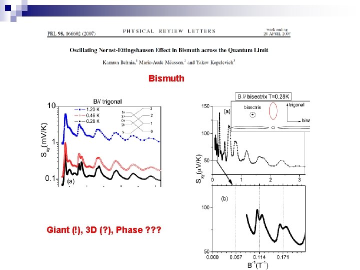 Bismuth Giant (!), 3 D (? ), Phase ? ? ? 