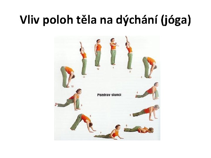 Vliv poloh těla na dýchání (jóga) 