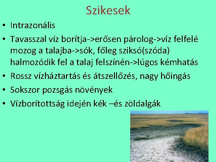 Szikesek • Intrazonális • Tavasszal víz borítja->erősen párolog->víz felfelé mozog a talajba->sók, főleg sziksó(szóda)