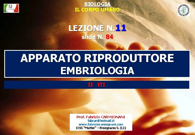 BIOLOGIA IL CORPO UMANO LEZIONE N. 11 slide N. 84 APPARATO RIPRODUTTORE EMBRIOLOGIA II