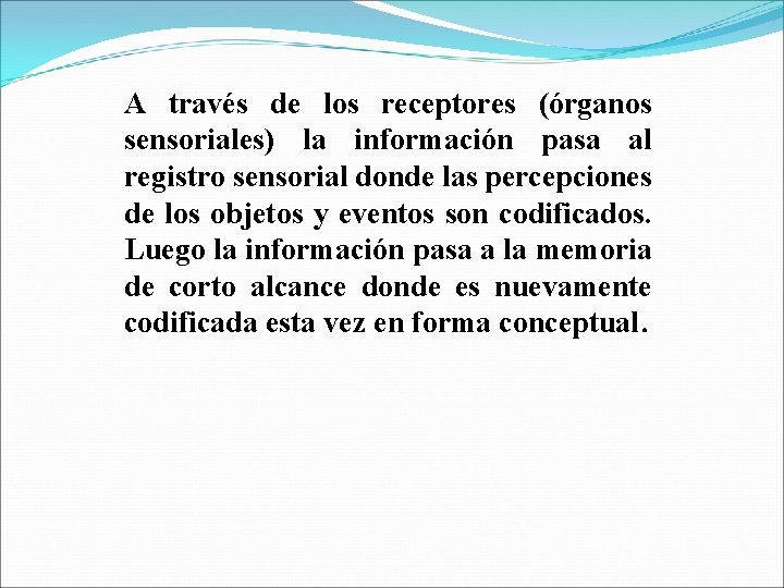 A través de los receptores (órganos sensoriales) la información pasa al registro sensorial donde