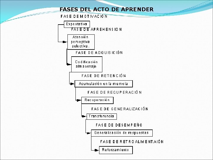 FASES DEL ACTO DE APRENDER 