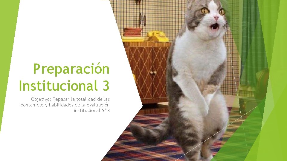 Preparación Institucional 3 Objetivo: Repasar la totalidad de las contenidos y habilidades de la