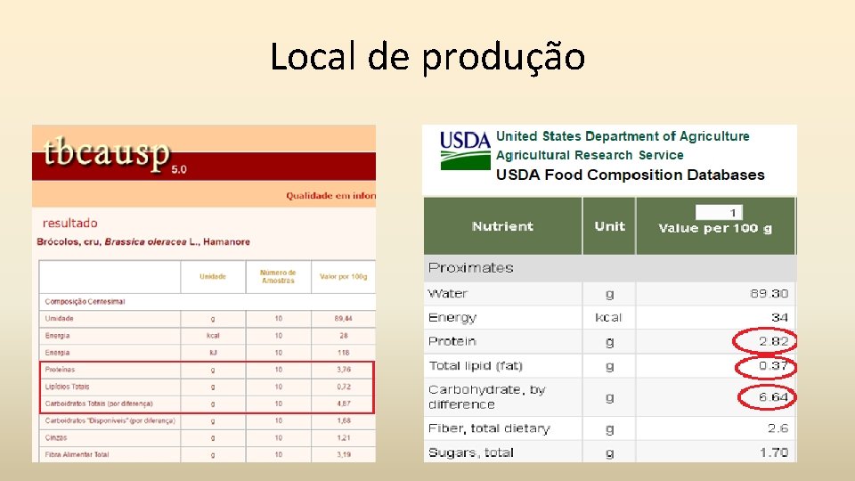 Local de produção 